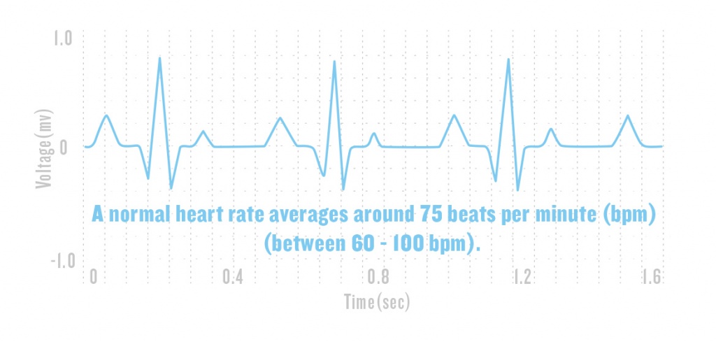 health-science-heart-rate-2.jpg